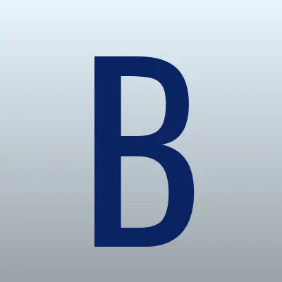 BSG, сервисный центр, лого-визитка