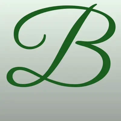 Billcee, магазин, лого-визитка