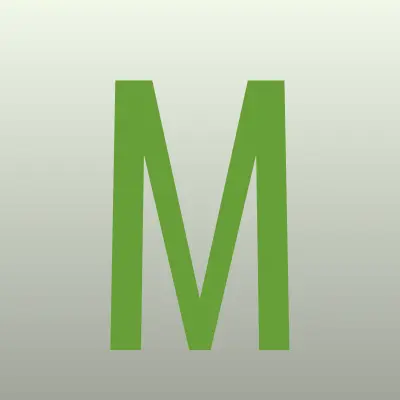 Мега-двери, салон, лого-визитка
