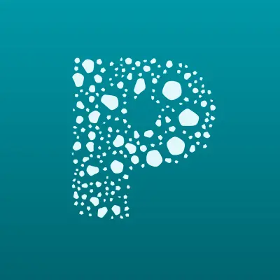 Pro100 service, лого-визитка
